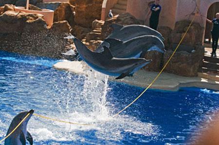 十大足球赌注软件