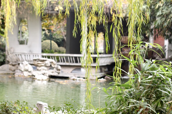 十大足球赌注软件