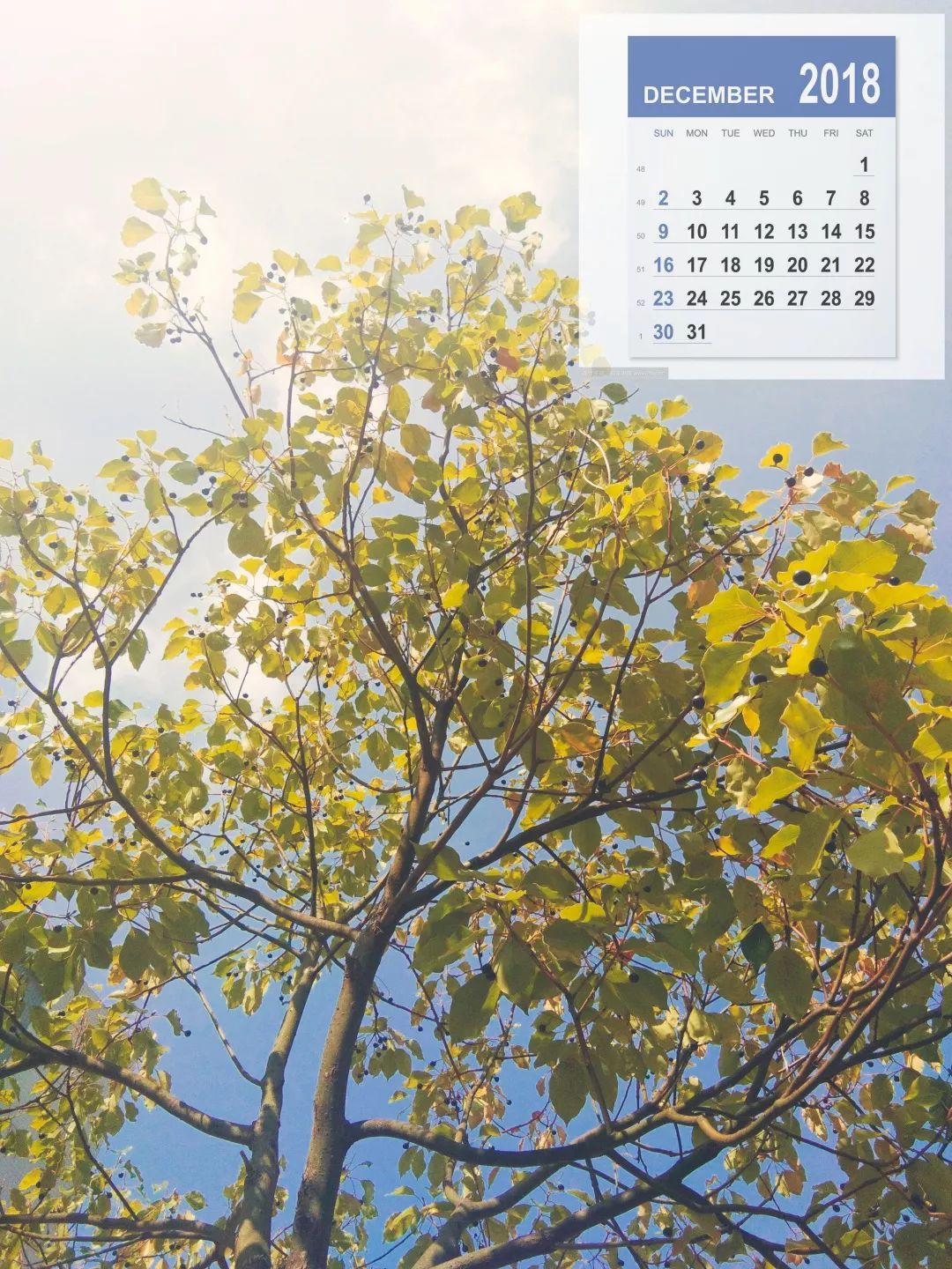 装修新人必读:家装选材技巧|足球赌注软件APP(图1) 足球赌注软件