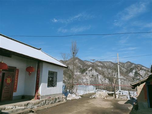 足球赌注软件APP