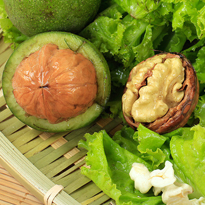 十大足球赌注软件